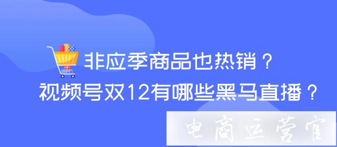 非應(yīng)季商品也熱銷?視頻號12·12有哪些黑馬直播?